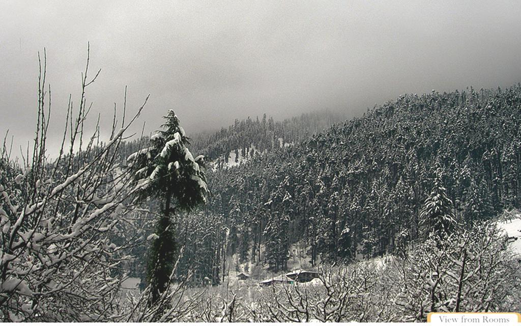 Hotel Manali Heights Manāli Exterior foto