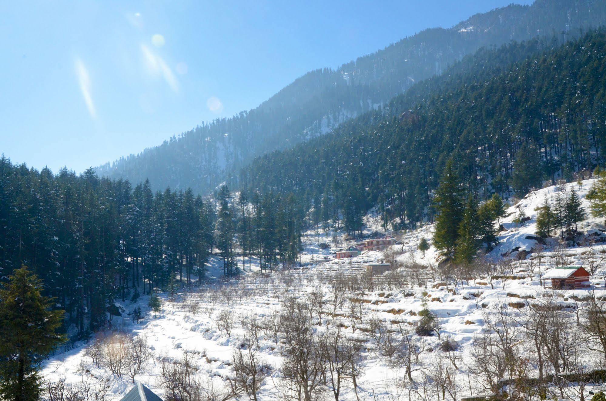 Hotel Manali Heights Manāli Exterior foto